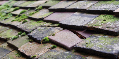 Eynsham roof repair costs